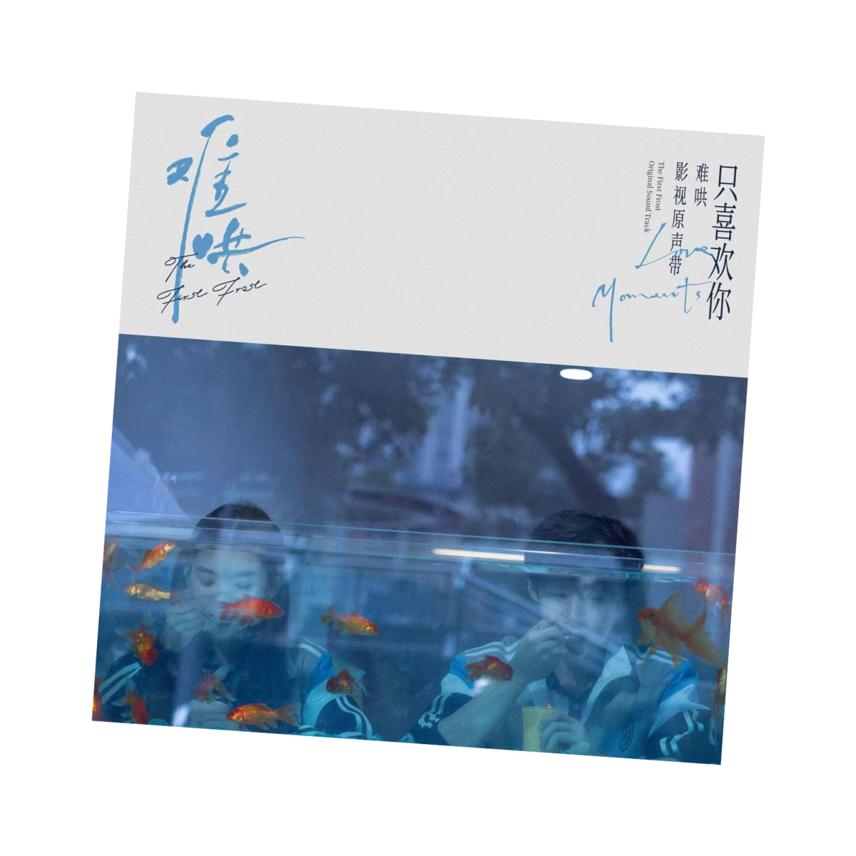 Section image